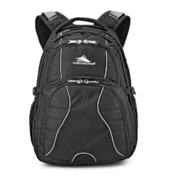 High Sierra Swerve Backpack