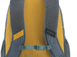 JanSport Agave Backpack -Fashion Bags 7cc935 840d2729ec61431cb765628cd6145125mv2